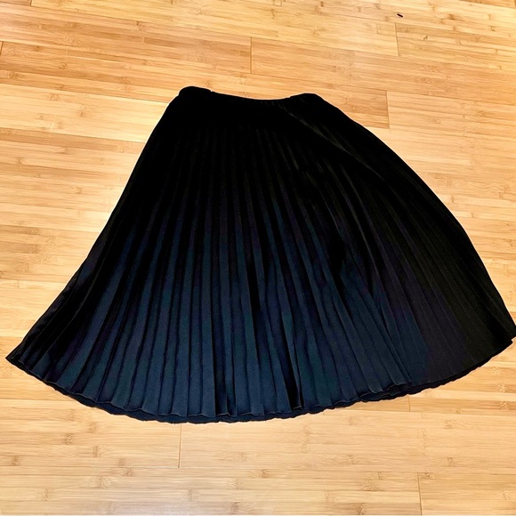 Wm Zara Pleated Maxi Skirt - Picture 6 of 6